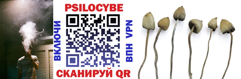 Псилоцибиновые грибы GOLDEN TEACHER  Чебоксары 